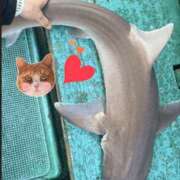 しい ※無題 谷町人妻ゴールデン倶楽部