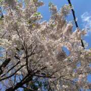 ヒメ日記 2025/04/07 14:37 投稿 りり Second Love（セカンドラブ）