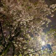 ヒメ日記 2025/04/10 14:56 投稿 りり Second Love（セカンドラブ）