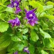 ヒメ日記 2025/05/03 14:24 投稿 りり Second Love（セカンドラブ）