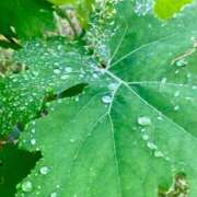 ヒメ日記 2025/05/10 14:21 投稿 りり Second Love（セカンドラブ）