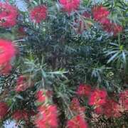 ヒメ日記 2025/05/22 19:34 投稿 りり Second Love（セカンドラブ）