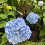 ヒメ日記 2025/05/27 09:24 投稿 りり Second Love（セカンドラブ）