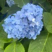 ヒメ日記 2025/05/31 19:22 投稿 りり Second Love（セカンドラブ）