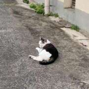 ヒメ日記 2025/06/01 14:36 投稿 りり Second Love（セカンドラブ）