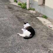 ヒメ日記 2025/06/01 17:44 投稿 りり Second Love（セカンドラブ）