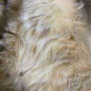 ヒメ日記 2025/06/13 09:14 投稿 りり Second Love（セカンドラブ）