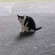 ヒメ日記 2025/06/16 12:43 投稿 りり Second Love（セカンドラブ）