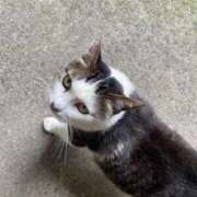 ヒメ日記 2025/06/16 15:38 投稿 りり Second Love（セカンドラブ）