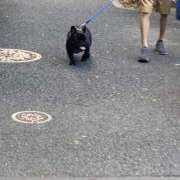 ヒメ日記 2025/06/18 17:11 投稿 りり Second Love（セカンドラブ）