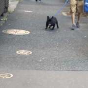 ヒメ日記 2025/06/18 19:34 投稿 りり Second Love（セカンドラブ）