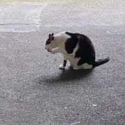 ヒメ日記 2025/06/21 09:43 投稿 りり Second Love（セカンドラブ）