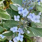 ヒメ日記 2025/06/24 09:49 投稿 りり Second Love（セカンドラブ）