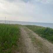 ヒメ日記 2025/07/14 10:31 投稿 りり Second Love（セカンドラブ）