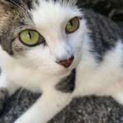 ヒメ日記 2025/08/04 20:10 投稿 りり Second Love（セカンドラブ）