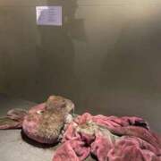 ヒメ日記 2025/08/20 10:49 投稿 りり Second Love（セカンドラブ）