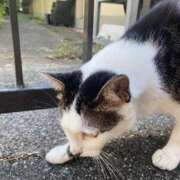 ヒメ日記 2025/08/21 19:27 投稿 りり Second Love（セカンドラブ）