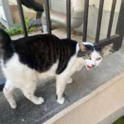 ヒメ日記 2025/08/22 12:28 投稿 りり Second Love（セカンドラブ）