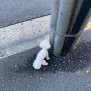 ヒメ日記 2025/08/23 11:12 投稿 りり Second Love（セカンドラブ）