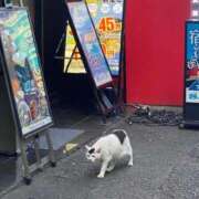 ヒメ日記 2025/09/01 18:38 投稿 りり Second Love（セカンドラブ）