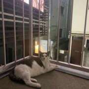 ヒメ日記 2025/09/09 20:37 投稿 りり Second Love（セカンドラブ）