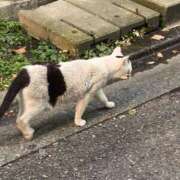 ヒメ日記 2025/09/11 20:29 投稿 りり Second Love（セカンドラブ）