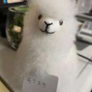 ヒメ日記 2025/11/14 12:22 投稿 りり Second Love（セカンドラブ）