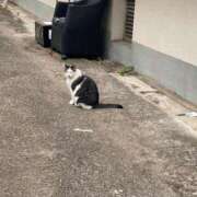 ヒメ日記 2025/11/23 15:57 投稿 りり Second Love（セカンドラブ）