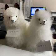 ヒメ日記 2025/11/25 11:28 投稿 りり Second Love（セカンドラブ）