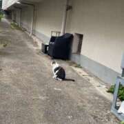 ヒメ日記 2025/12/07 20:55 投稿 りり Second Love（セカンドラブ）