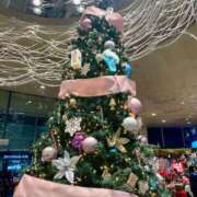 ヒメ日記 2025/12/25 17:54 投稿 りり Second Love（セカンドラブ）