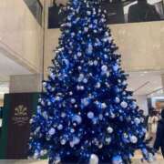 ヒメ日記 2025/12/25 17:56 投稿 りり Second Love（セカンドラブ）