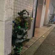 ヒメ日記 2026/01/13 22:41 投稿 りり Second Love（セカンドラブ）