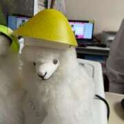 りり 受付終了まであと1時間！ Second Love（セカンドラブ）