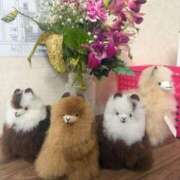 ヒメ日記 2026/01/25 10:11 投稿 りり Second Love（セカンドラブ）