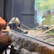 ヒメ日記 2026/01/26 19:43 投稿 りり Second Love（セカンドラブ）