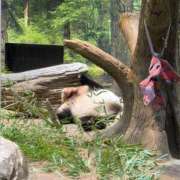 ヒメ日記 2026/01/27 14:30 投稿 りり Second Love（セカンドラブ）