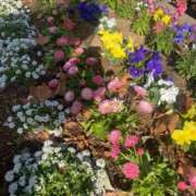 ヒメ日記 2026/01/27 16:04 投稿 りり Second Love（セカンドラブ）