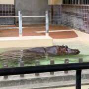 ヒメ日記 2026/01/30 12:21 投稿 りり Second Love（セカンドラブ）