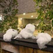 ヒメ日記 2026/02/09 20:23 投稿 りり Second Love（セカンドラブ）