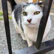 ヒメ日記 2026/02/15 16:39 投稿 りり Second Love（セカンドラブ）