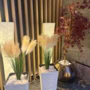 ヒメ日記 2026/02/19 19:11 投稿 りり Second Love（セカンドラブ）