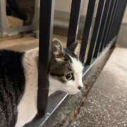 ヒメ日記 2026/02/22 19:56 投稿 りり Second Love（セカンドラブ）