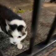 ヒメ日記 2026/02/26 18:00 投稿 りり Second Love（セカンドラブ）