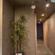 ヒメ日記 2026/03/03 12:11 投稿 りり Second Love（セカンドラブ）