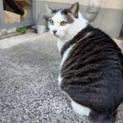 りり 次回出勤は明日！ Second Love（セカンドラブ）