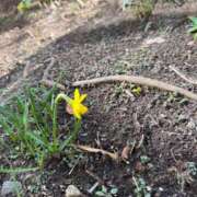 りり 婚活記録② Second Love（セカンドラブ）