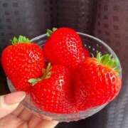 ヒメ日記 2026/03/07 19:55 投稿 りり Second Love（セカンドラブ）