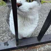 ヒメ日記 2026/03/09 19:36 投稿 りり Second Love（セカンドラブ）