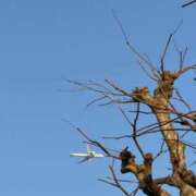 ヒメ日記 2026/03/19 16:40 投稿 りり Second Love（セカンドラブ）